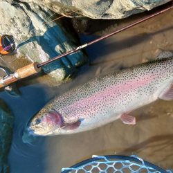 天竜川ルアーフライ専用区